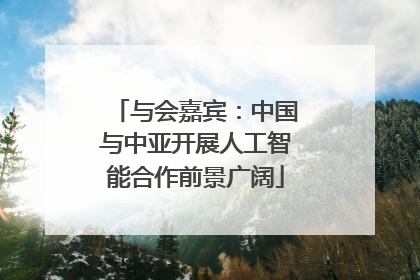 与会嘉宾：中国与中亚开展人工智能合作前景广阔