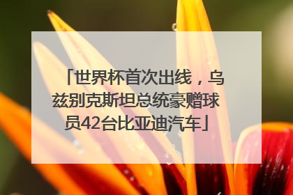 世界杯首次出线，乌兹别克斯坦总统豪赠球员42台比亚迪汽车