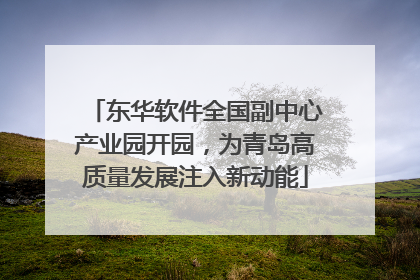 东华软件全国副中心产业园开园，为青岛高质量发展注入新动能