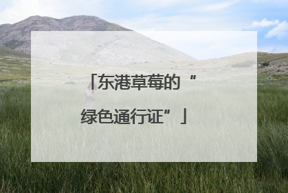 东港草莓的“绿色通行证”
