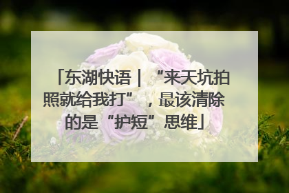 东湖快语｜“来天坑拍照就给我打”，最该清除的是“护短”思维