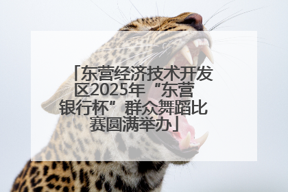 东营经济技术开发区2025年“东营银行杯”群众舞蹈比赛圆满举办