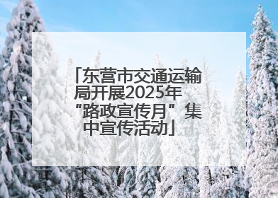 东营市交通运输局开展2025年“路政宣传月”集中宣传活动