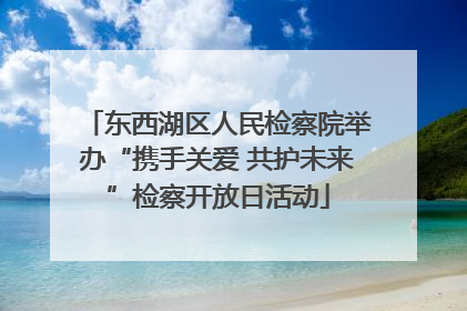东西湖区人民检察院举办“携手关爱 共护未来”检察开放日活动