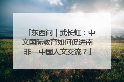 东西问｜武长虹：中文国际教育如何促进南非—中国人文交流？
