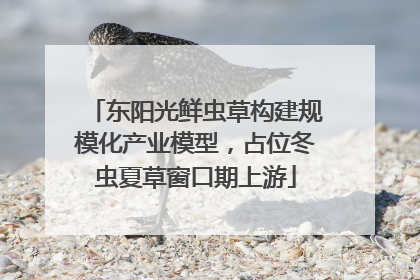 东阳光鲜虫草构建规模化产业模型，占位冬虫夏草窗口期上游