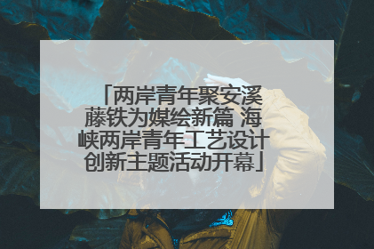 两岸青年聚安溪 藤铁为媒绘新篇 海峡两岸青年工艺设计创新主题活动开幕