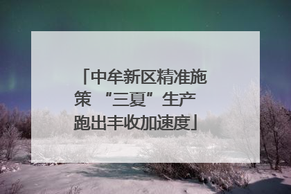 中牟新区精准施策 “三夏”生产跑出丰收加速度