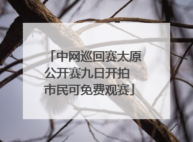 中网巡回赛太原公开赛九日开拍 市民可免费观赛