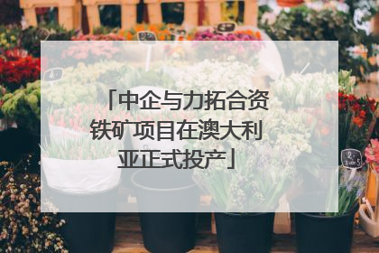 中企与力拓合资铁矿项目在澳大利亚正式投产