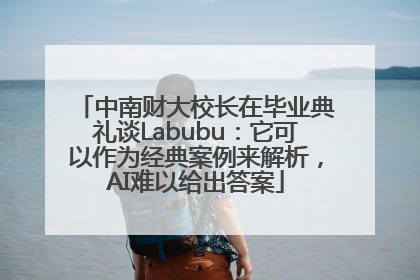 中南财大校长在毕业典礼谈Labubu：它可以作为经典案例来解析，AI难以给出答案