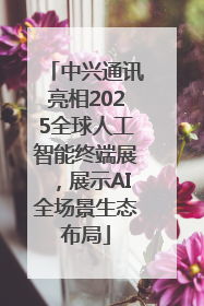 中兴通讯亮相2025全球人工智能终端展，展示AI全场景生态布局