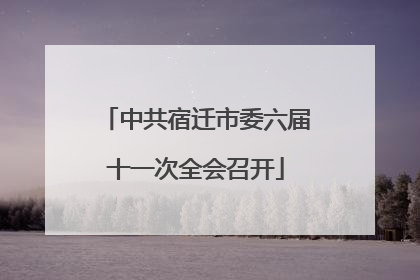 中共宿迁市委六届十一次全会召开