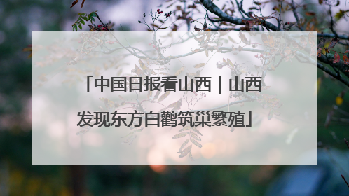 中国日报看山西｜山西发现东方白鹳筑巢繁殖