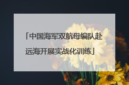 中国海军双航母编队赴远海开展实战化训练