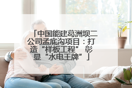 中国能建葛洲坝二公司孟底沟项目：打造“样板工程” 彰显“水电王牌”
