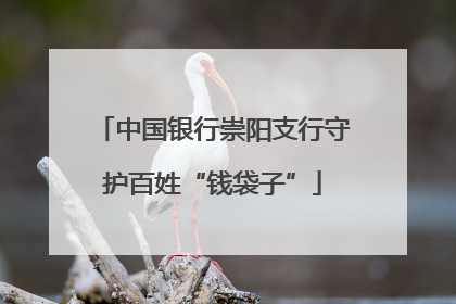 中国银行崇阳支行守护百姓“钱袋子”