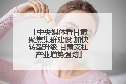 中央媒体看甘肃丨聚焦集群建设 加快转型升级 甘肃支柱产业增势强劲