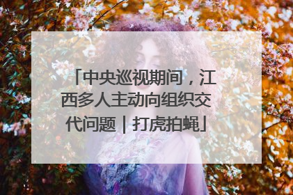 中央巡视期间，江西多人主动向组织交代问题｜打虎拍蝇
