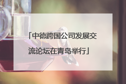 中德跨国公司发展交流论坛在青岛举行