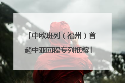 中欧班列（福州）首趟中亚回程专列抵榕