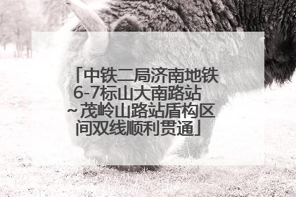 中铁二局济南地铁6-7标山大南路站～茂岭山路站盾构区间双线顺利贯通
