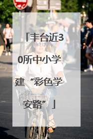 丰台近30所中小学建“彩色学安路”