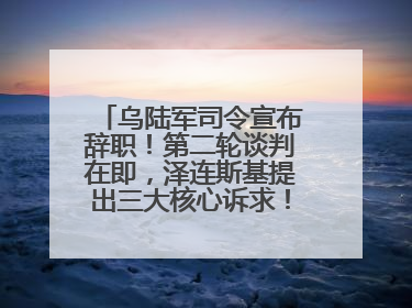 乌陆军司令宣布辞职！第二轮谈判在即，泽连斯基提出三大核心诉求！乌方透露摧毁41架俄战略轰炸机