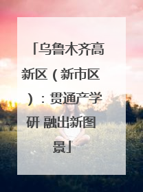 乌鲁木齐高新区（新市区）：贯通产学研 融出新图景