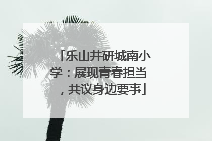 乐山井研城南小学：展现青春担当，共议身边要事
