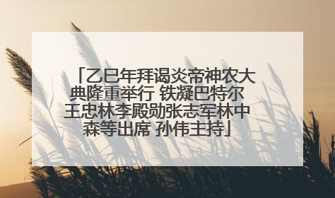 乙巳年拜谒炎帝神农大典隆重举行 铁凝巴特尔王忠林李殿勋张志军林中森等出席 孙伟主持