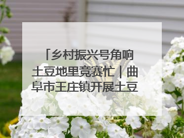乡村振兴号角响 土豆地里竞赛忙｜曲阜市王庄镇开展土豆收获劳动竞赛