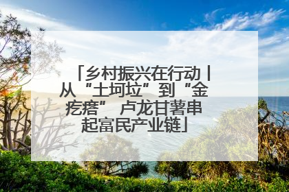 乡村振兴在行动丨从“土坷垃”到“金疙瘩” 卢龙甘薯串起富民产业链