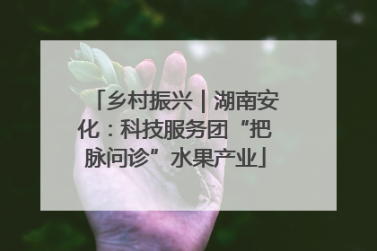 乡村振兴｜湖南安化：科技服务团“把脉问诊”水果产业