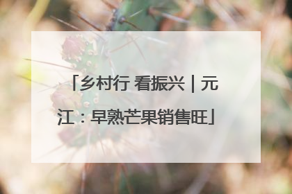 乡村行 看振兴｜元江：早熟芒果销售旺