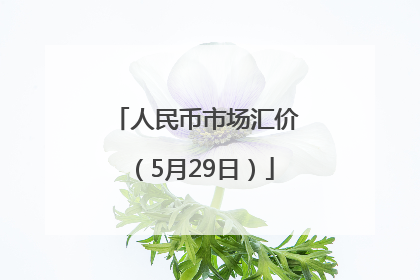 人民币市场汇价（5月29日）