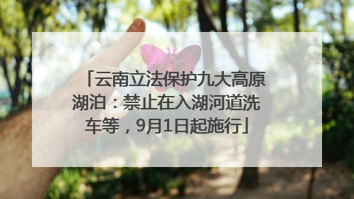 云南立法保护九大高原湖泊：禁止在入湖河道洗车等，9月1日起施行