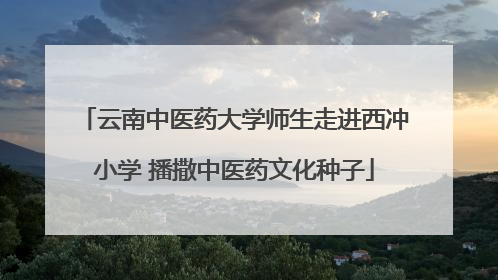 云南中医药大学师生走进西冲小学 播撒中医药文化种子