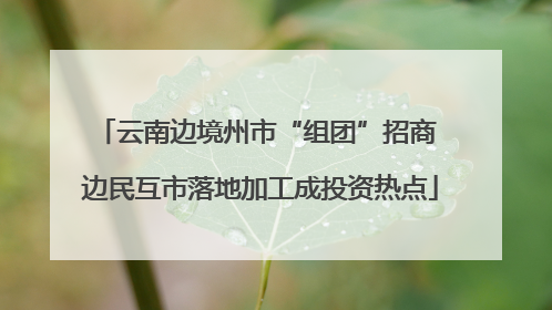 云南边境州市“组团”招商 边民互市落地加工成投资热点