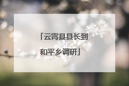 云霄县县长到和平乡调研