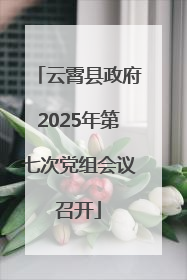 云霄县政府2025年第七次党组会议召开
