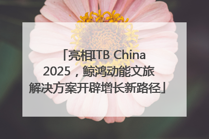 亮相ITB China 2025，鲸鸿动能文旅解决方案开辟增长新路径