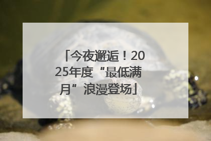 今夜邂逅！2025年度“最低满月”浪漫登场