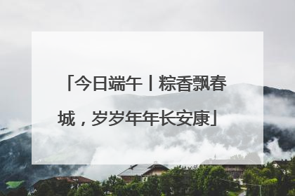 今日端午丨粽香飘春城，岁岁年年长安康