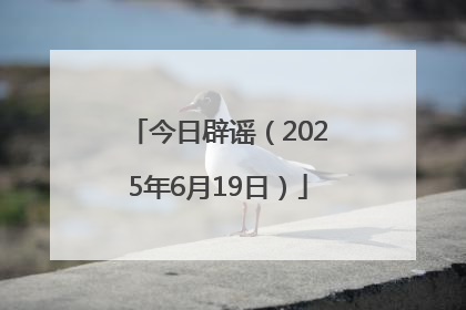 今日辟谣（2025年6月19日）
