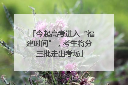 今起高考进入“福建时间”，考生将分三批走出考场