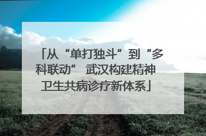 从“单打独斗”到“多科联动” 武汉构建精神卫生共病诊疗新体系