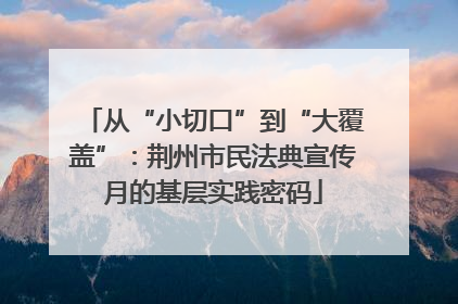 从“小切口”到“大覆盖”：荆州市民法典宣传月的基层实践密码