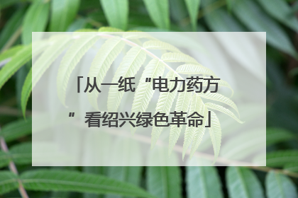 从一纸“电力药方”看绍兴绿色革命