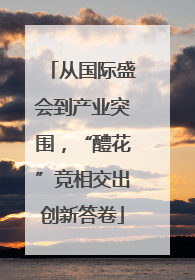 从国际盛会到产业突围，“醴花”竞相交出创新答卷
